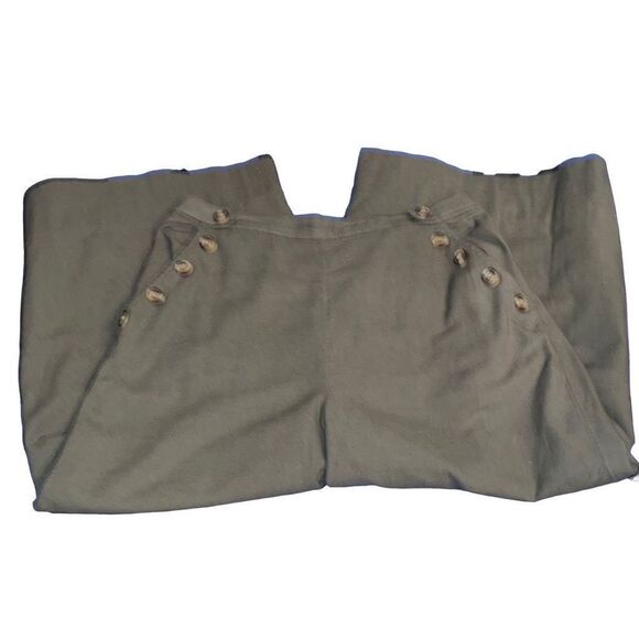American Eagle Women Elastic Waist Structured Pleated Shorts Size Large - Picture 1 of 8